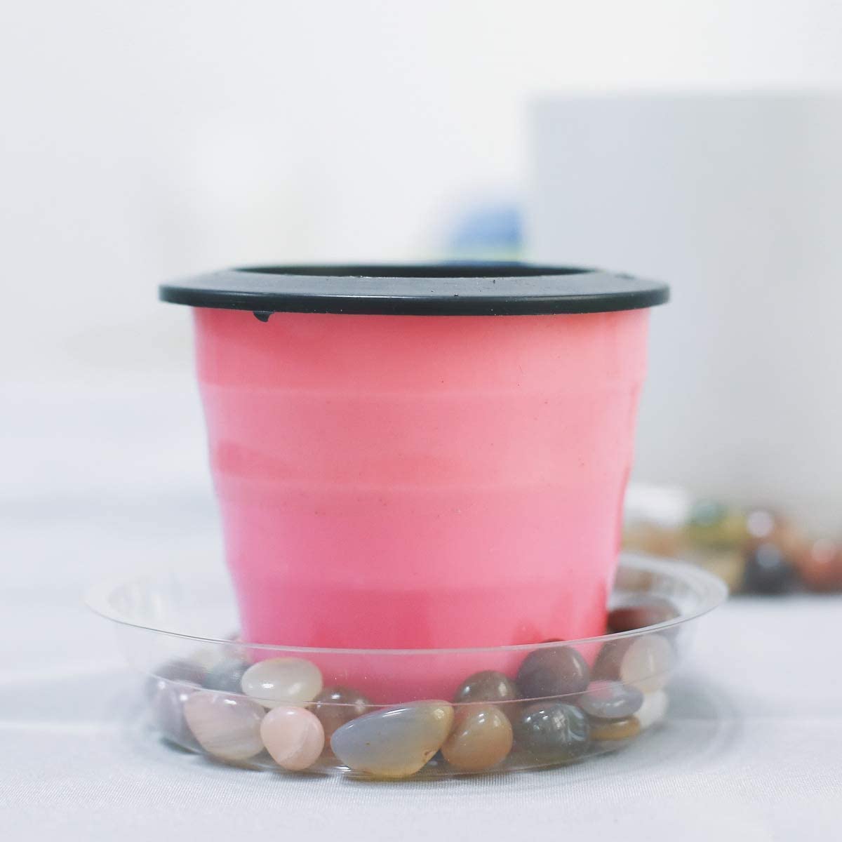 TRUEDAYS clear plant saucer for indoor and outdoor use fits many spaces