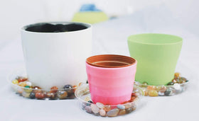 TRUEDAYS clear plant saucer maintains moisture longer for healthy-looking plants