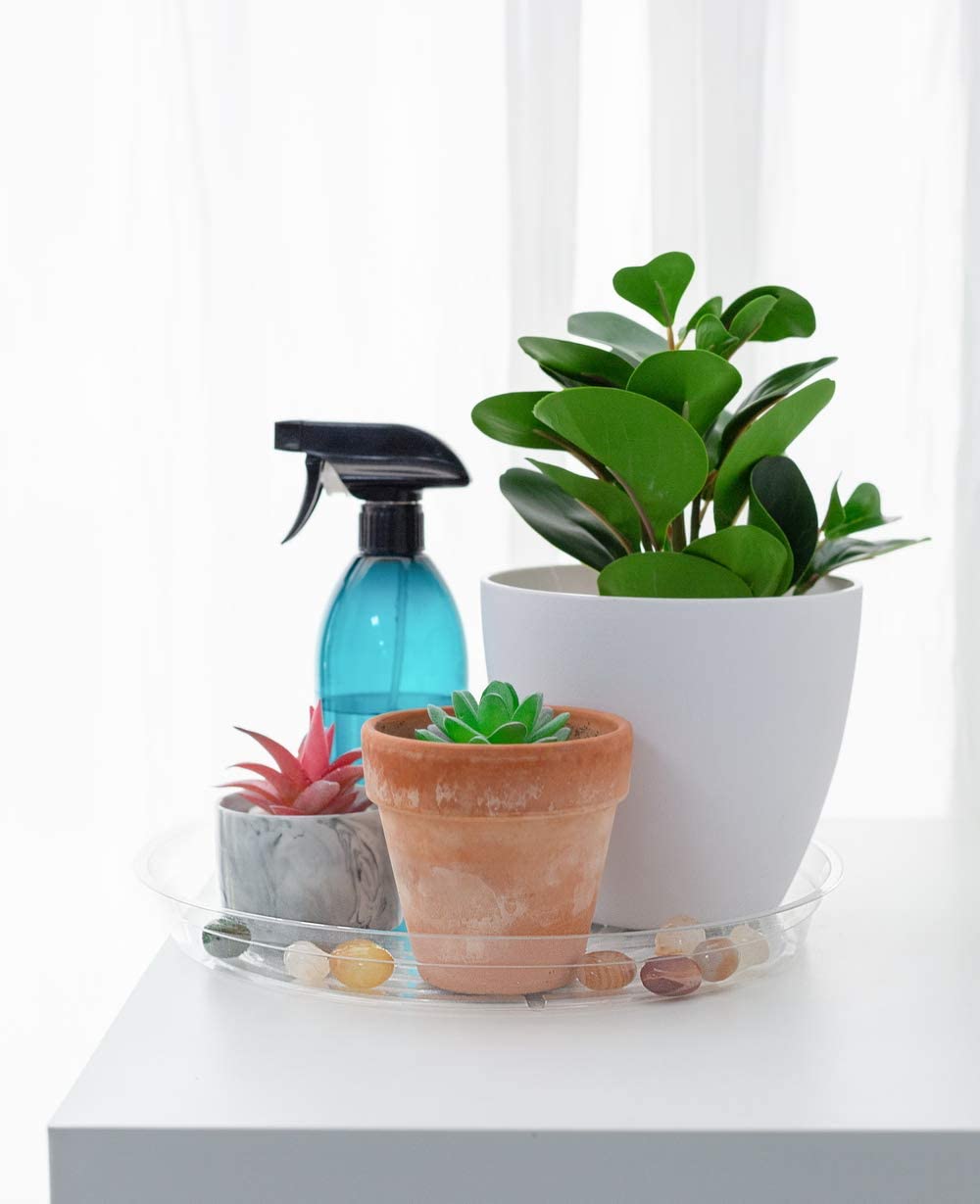 TRUEDAYS clear plant saucer with decorative rocks adds style while guiding drainage