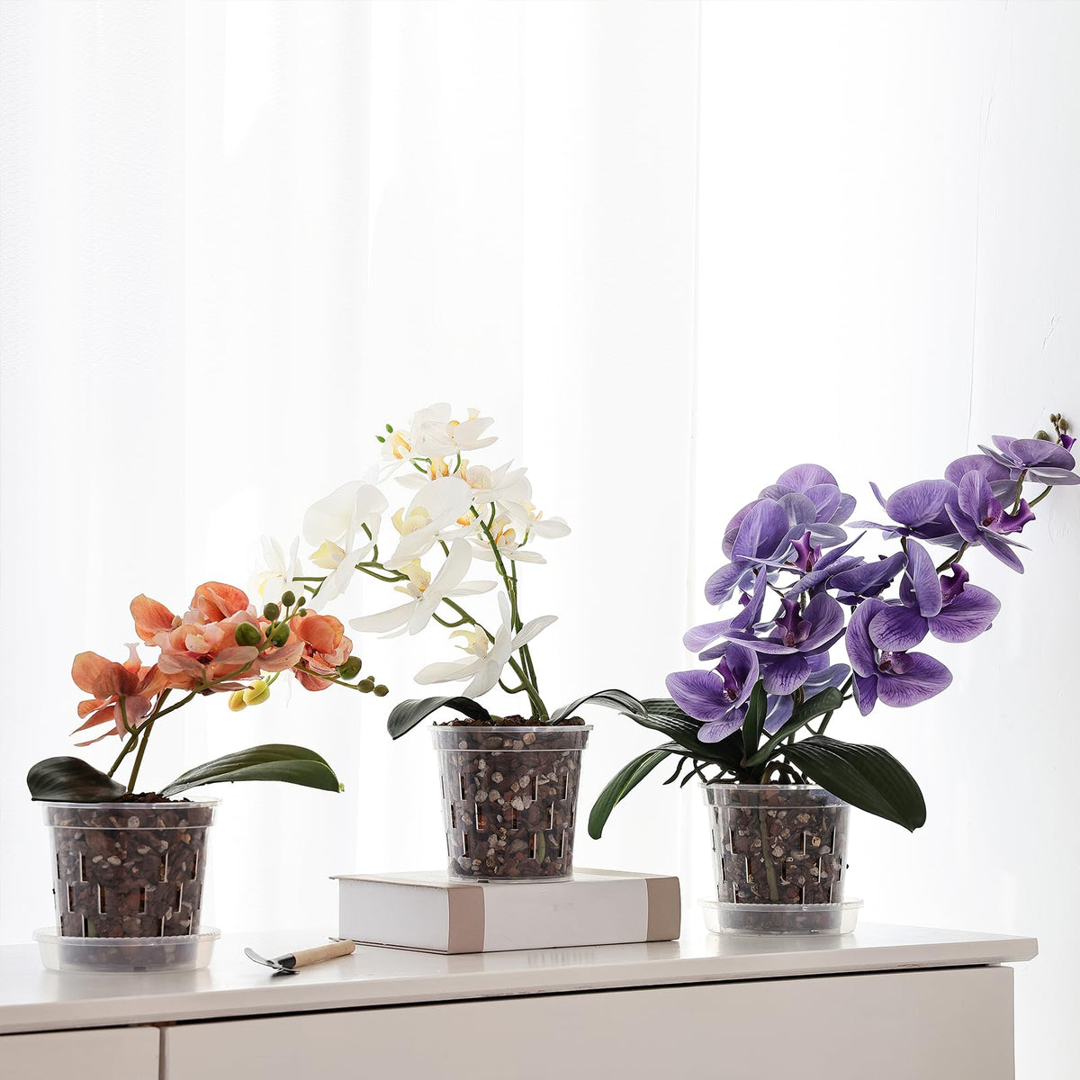 TRUEDAYS compact 5 inch orchid pot fits small plants and tight spaces