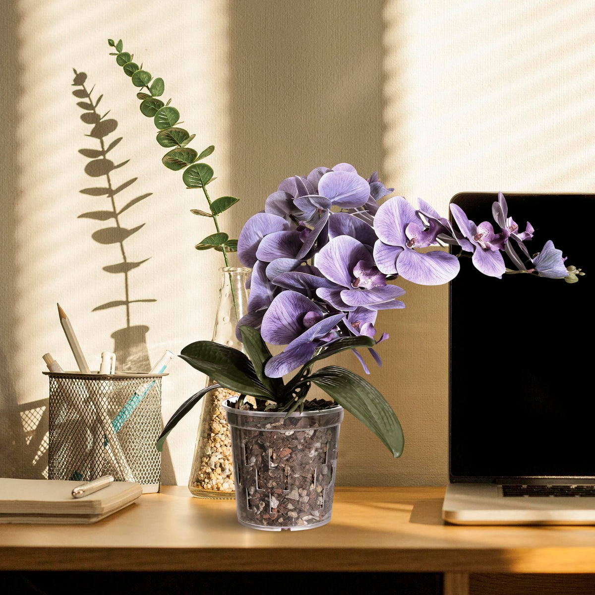 TRUEDAYS orchid pot mounted indoors or outdoors with included hardware