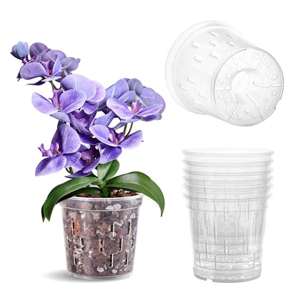 TRUEDAYS orchid pot 6in clear with visible roots for easy monitoring and repotting.