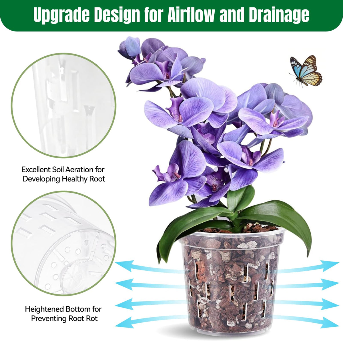 TRUEDAYS orchid pot clear walls aid monitoring during repotting.