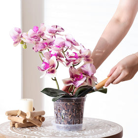 TRUEDAYS orchid pot outdoors setup with UV protection