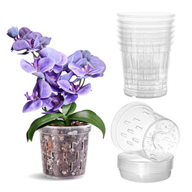 TRUEDAYS orchid pots six-pack packshot for organized repotting setups