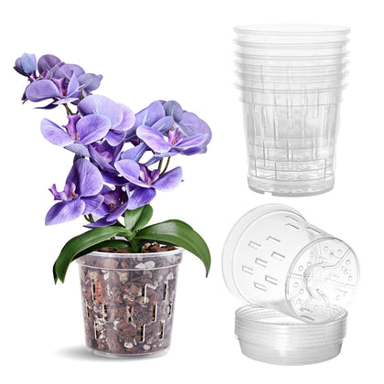TRUEDAYS orchid pots six-pack packshot for organized repotting setups