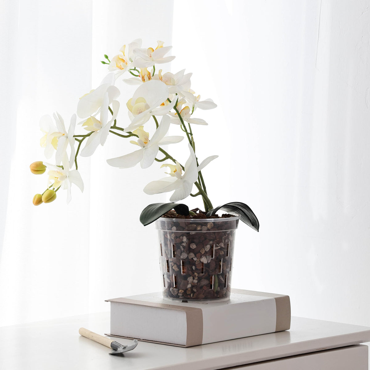TRUEDAYS sturdy plastic pot resists drops and keeps shape.