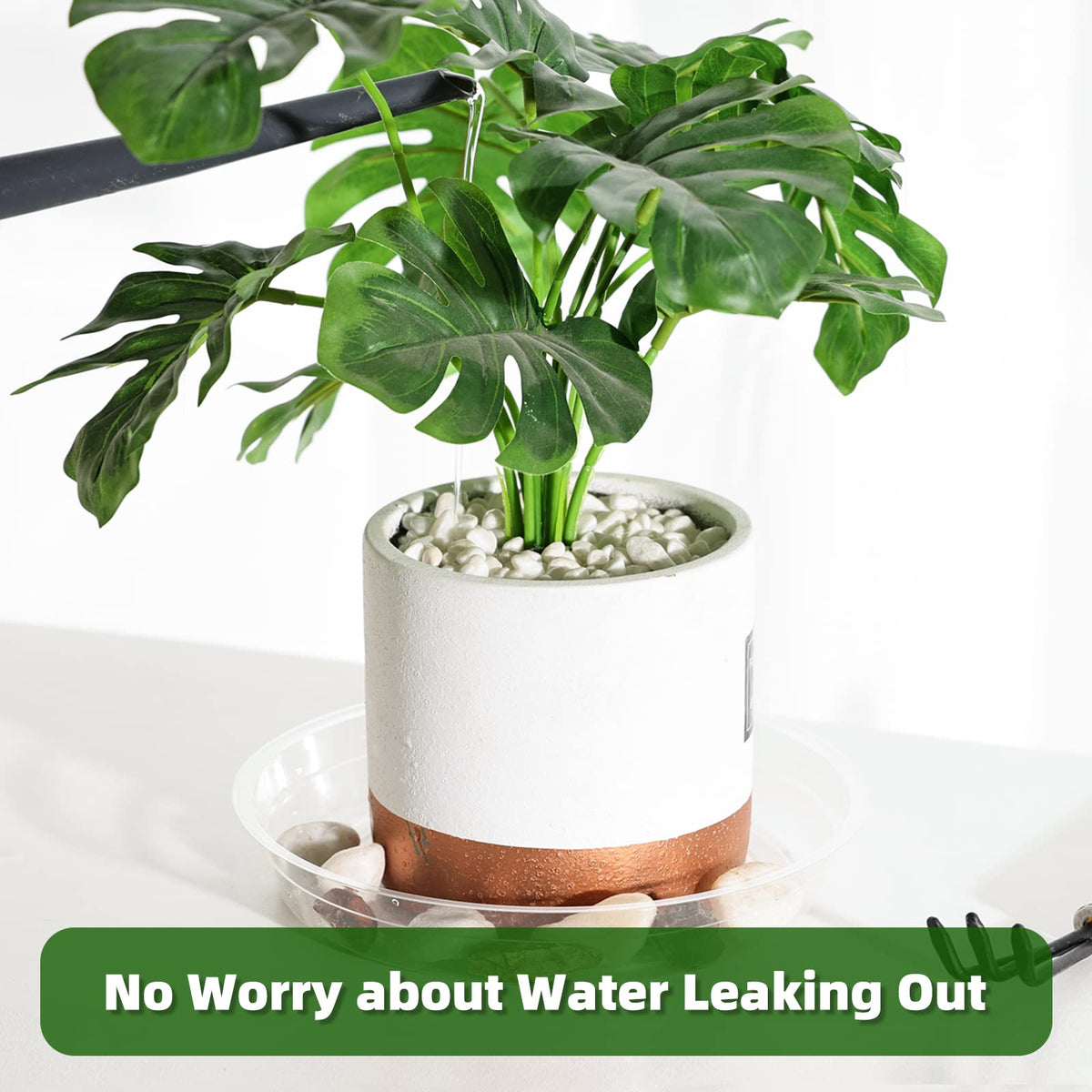 TRUEDAYS clear plant saucer 10in close-up ideal for larger pots