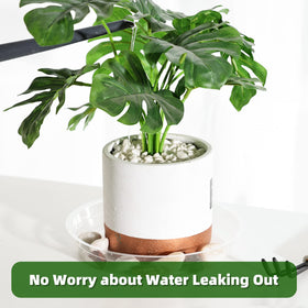 TRUEDAYS clear plant saucer 10in close-up ideal for larger pots