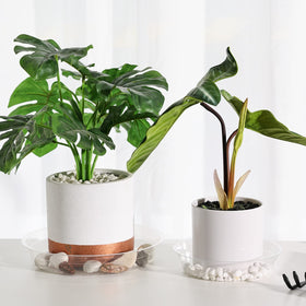 TRUEDAYS clear plant saucer 10in stack keeps garden tidy