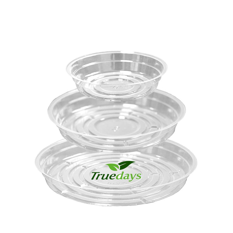 TRUEDAYS clear plant saucer 6in close-up prevents mess and soil spills