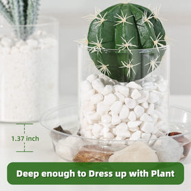 TRUEDAYS clear plant saucer 8in stack for stable base on carpet