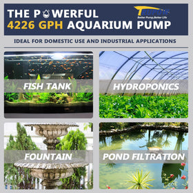 TRUPOW freshwater and saltwater capable pump for ponds.
