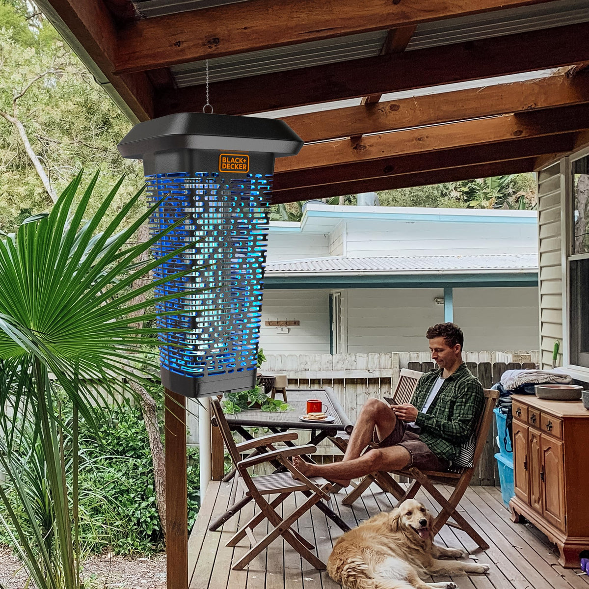 TRURID Fly Trap with mosquito repellent for 2-acre outdoor use