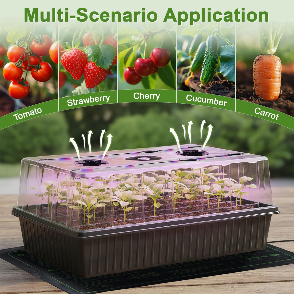Tryitsbest all-in-one seed starting kit includes light, mat, trays, and dome.