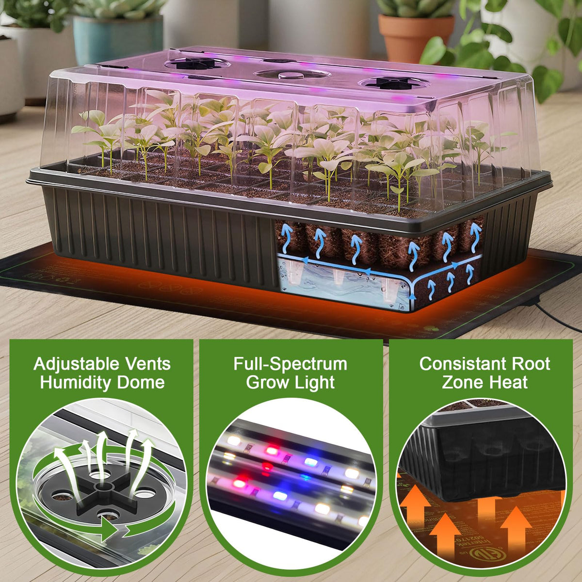 Tryitsbest heat mat provides even warmth for faster sprouting and healthier roots.