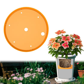 Tryitsbest round planter insert in an 8-inch pot, cleanly elevating soil for better drainage.