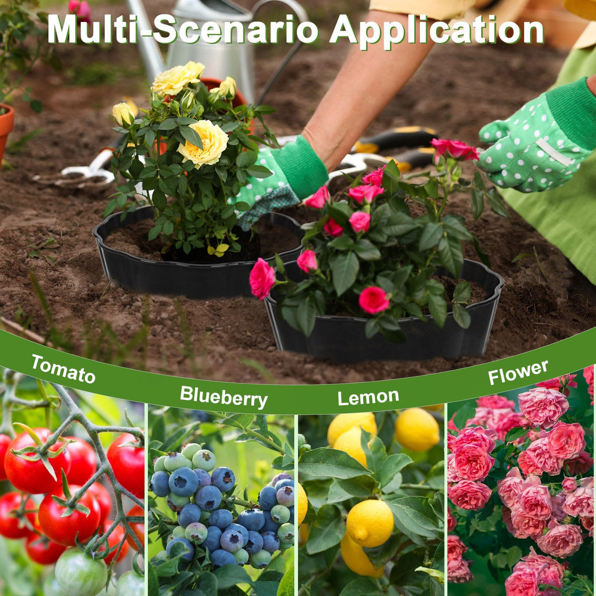 Tryitsbest round planting ring blends naturally with garden beds and herbs.