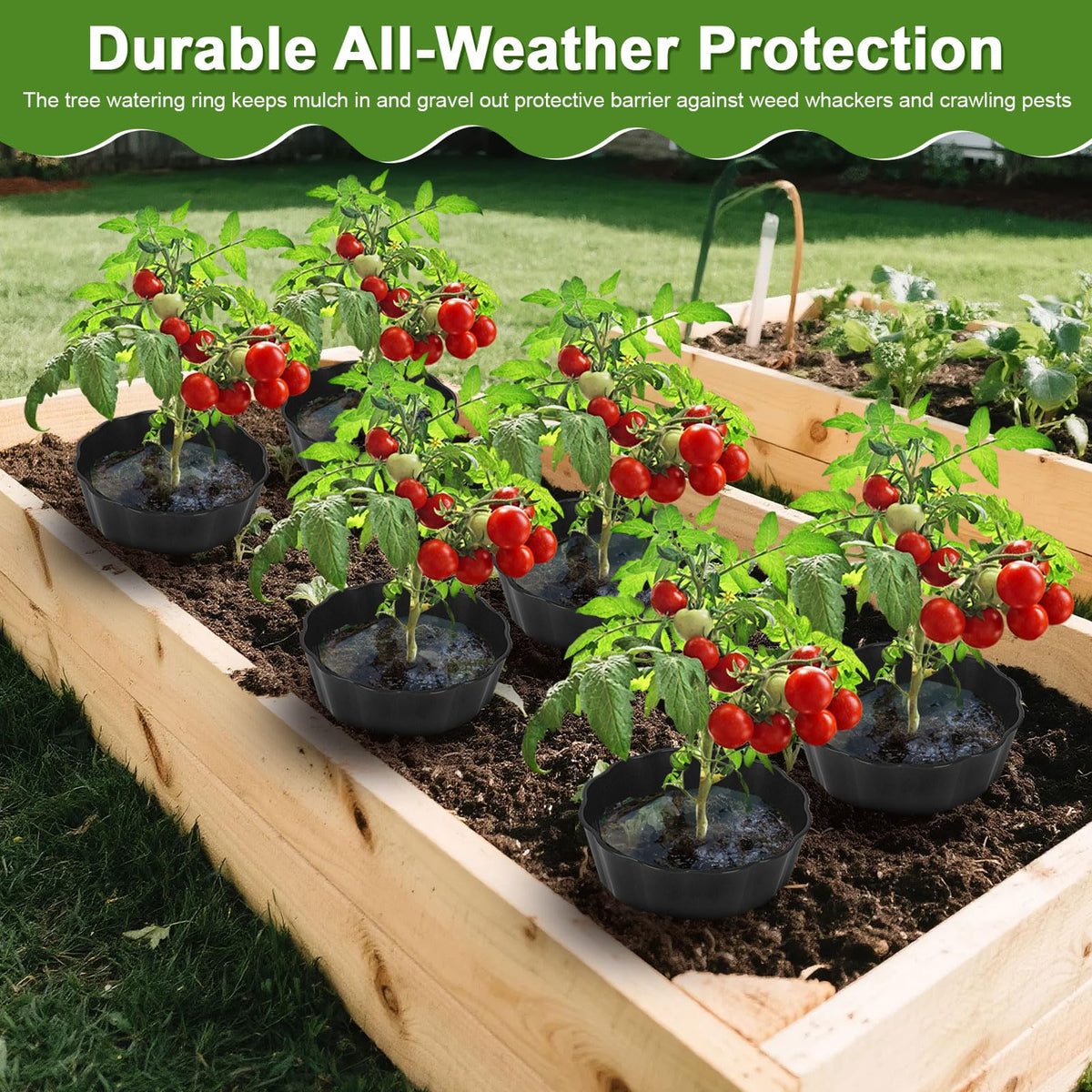 Tryitsbest round planting ring preserves soil around the plant roots.