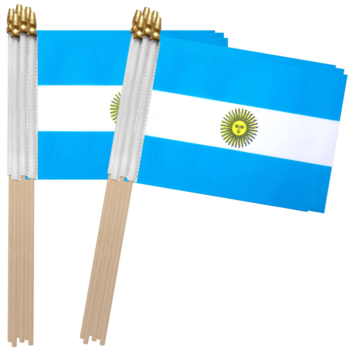 TSMD Argentina flag on a 5x8 inch stick, ideal for parades and ceremonies.