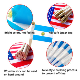 TSMD Argentina flag featuring a rounded spear top, kid-safe for school activities.