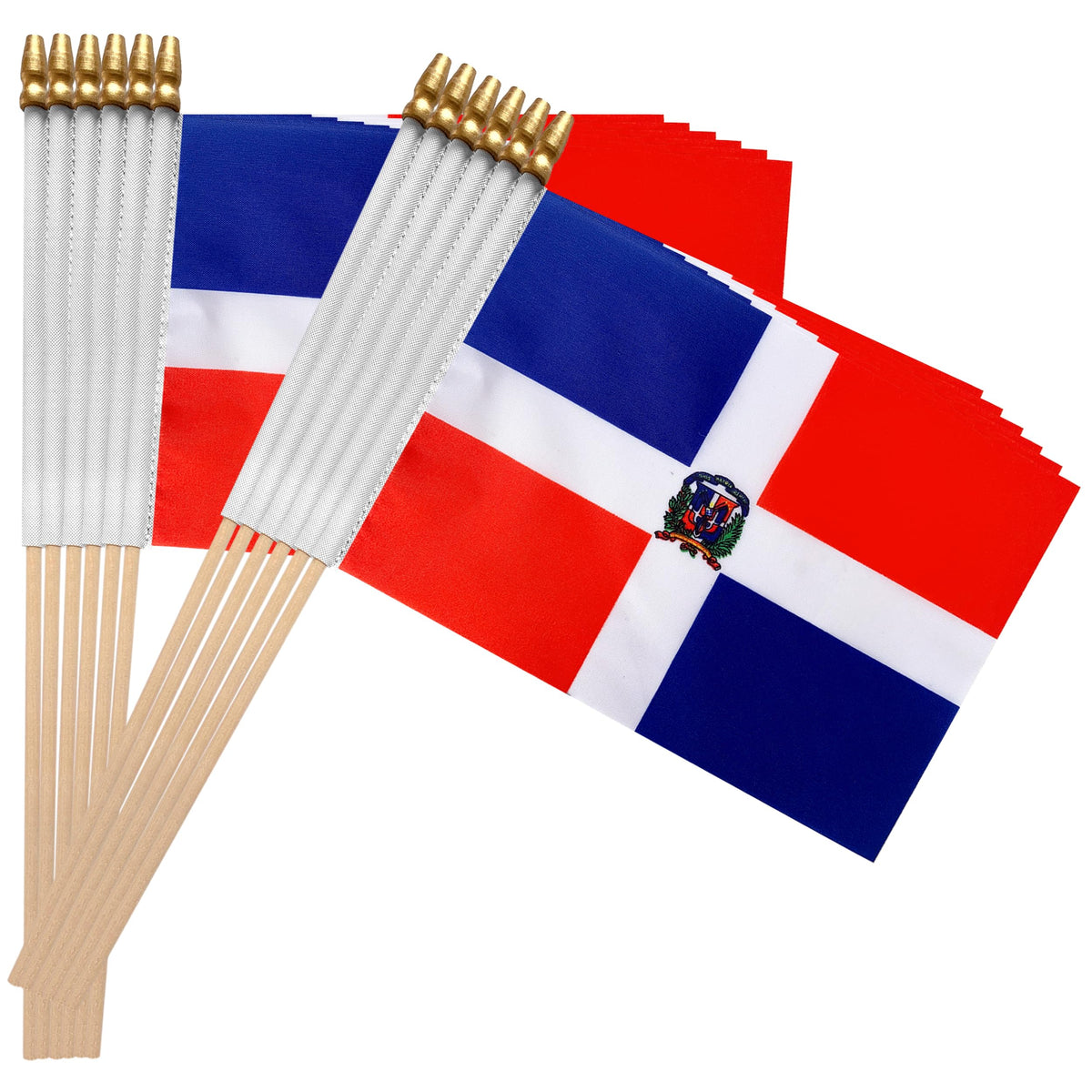 TSMD Dominican flag party parade decor for celebrations