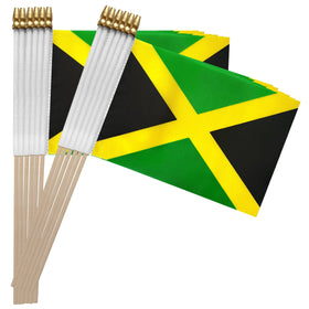 TSMD durable polyester flag built for repeated use at events