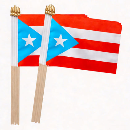TSMD light blue Puerto Rico flag on a stick, ideal for parades and outdoor decor