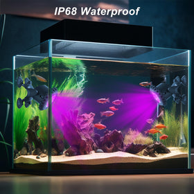 T-SUN durable amphibious design withstands wet outdoor conditions.