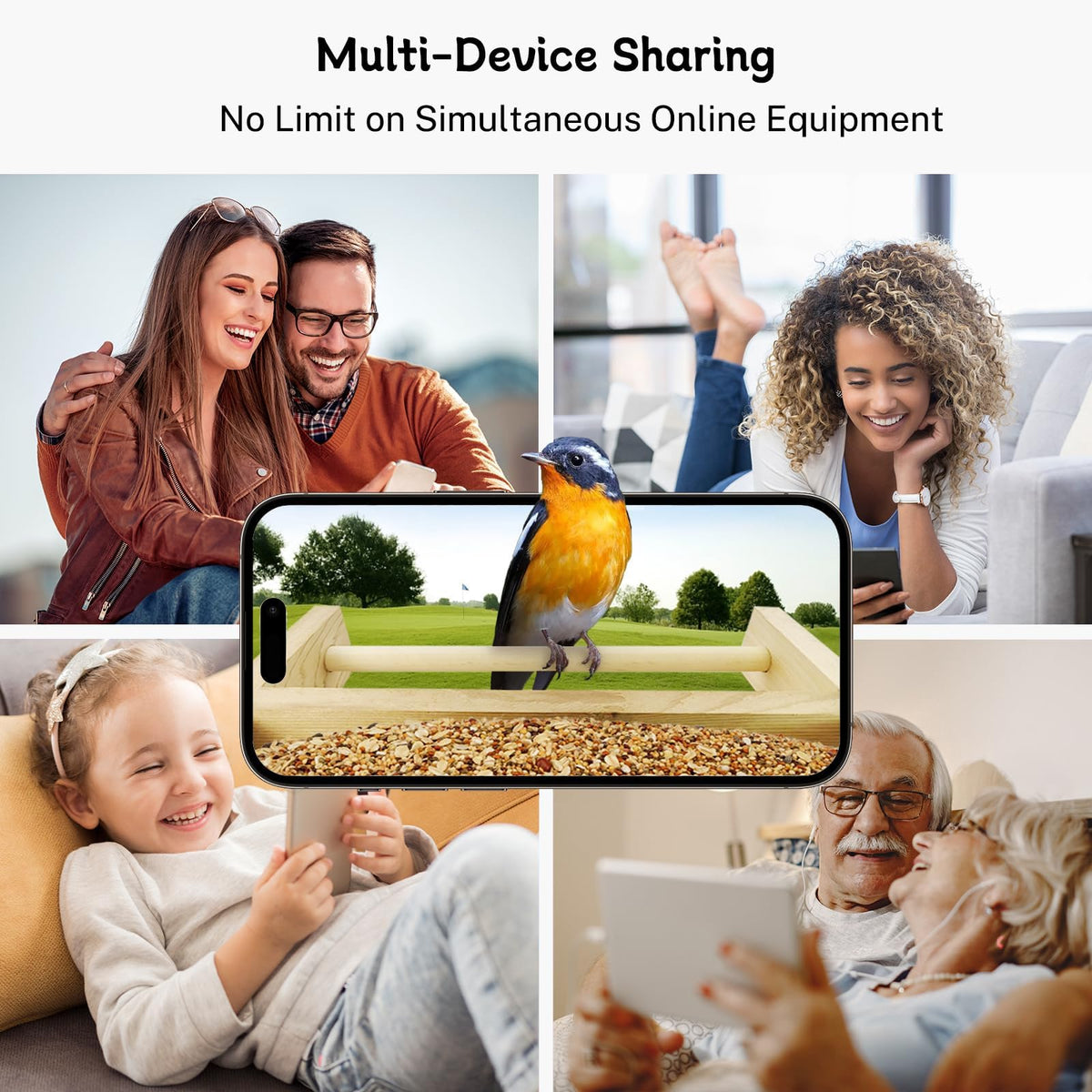 TT Nature Bird Feeder AI detection highlights feathered visitors for smarter birdwatching