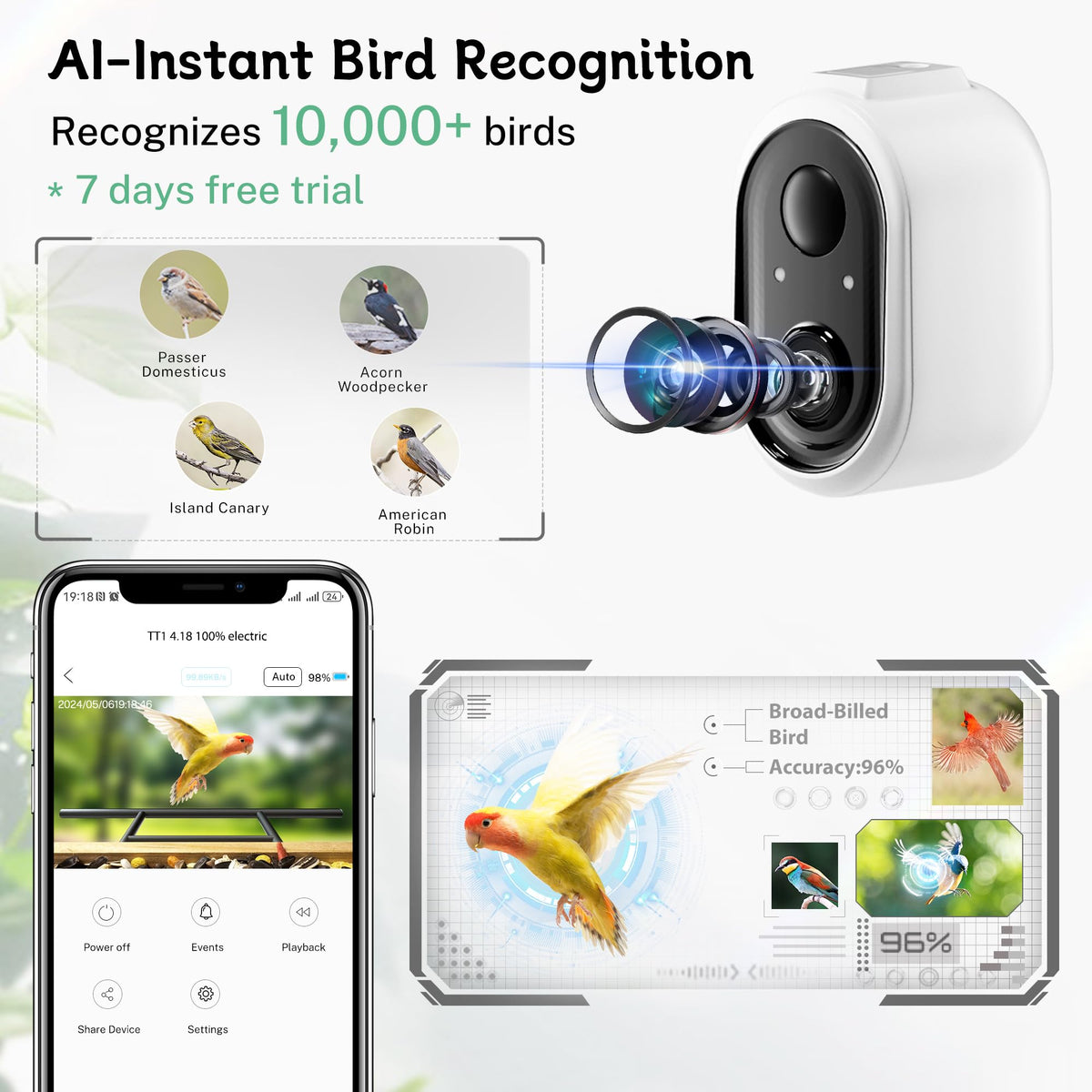 TT Nature Bird Feeder with Camera night vision captures nocturnal birds clearly