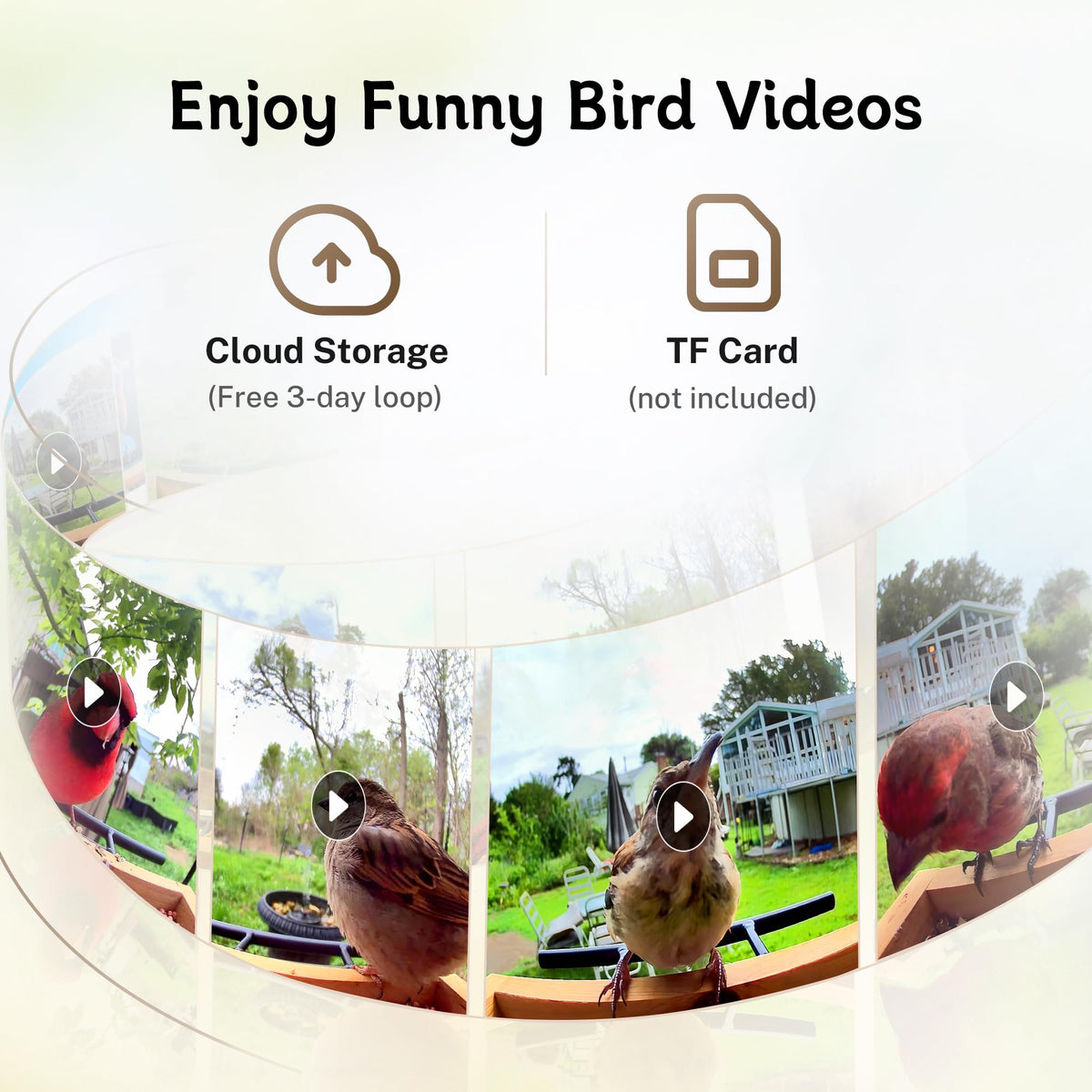 TT Nature Bird Feeder with Camera outdoor setup for easy backyard viewing