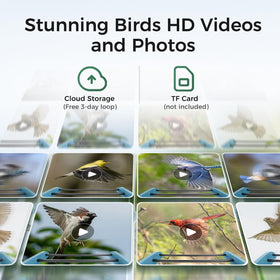 TT Nature bird feeder camera top with solar panel in outdoor setting