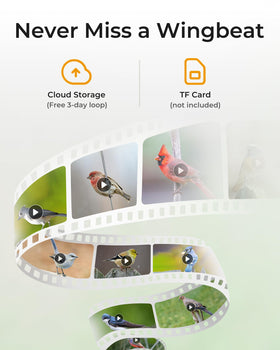 TT Nature bird feeder with camera cloud storage setup icon for video access