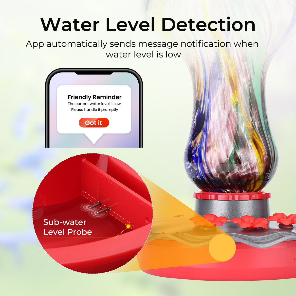 TT Nature Glass Hummingbird Feeder 2K camera provides live bird viewing.