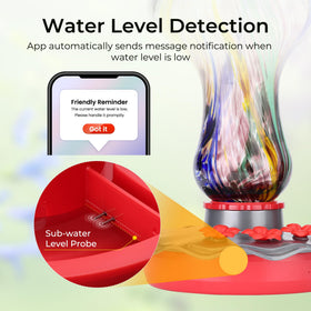 TT Nature Glass Hummingbird Feeder 2K camera provides live bird viewing.