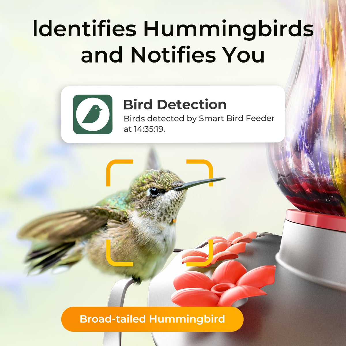 TT Nature Glass Hummingbird Feeder with ant moat keeps nectar protected.