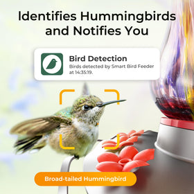 TT Nature Glass Hummingbird Feeder with ant moat keeps nectar protected.