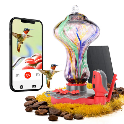 TT Nature Glass Hummingbird Feeder camera close-up captures vibrant birds in crisp detail.