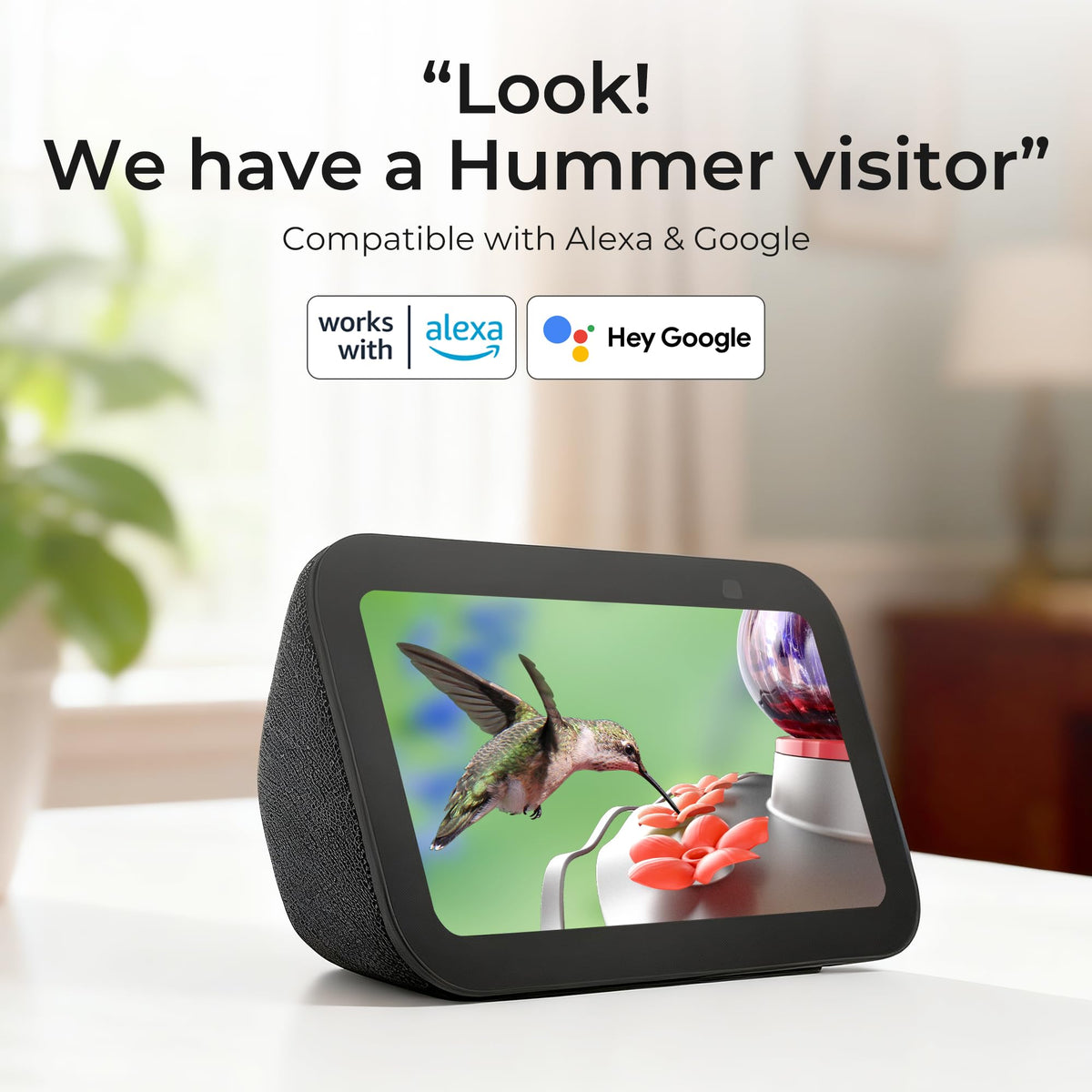 TT Nature Glass Hummingbird Feeder cloud storage for easy playback.