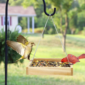 Garden scene with diverse birds visiting TT Nature feeder.
