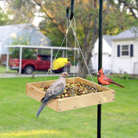 Ready-to-hang TT Nature feeder simplifies setup in minutes.