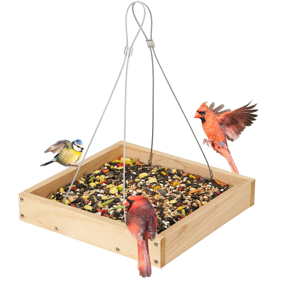 TT Nature Platform Bird Feeder on a wooden hanging tray in a garden.