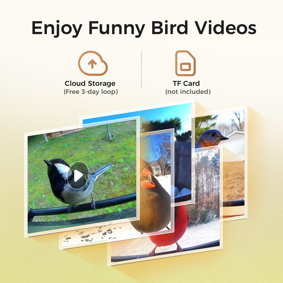 AI species recognition identifies garden birds on your mobile device.