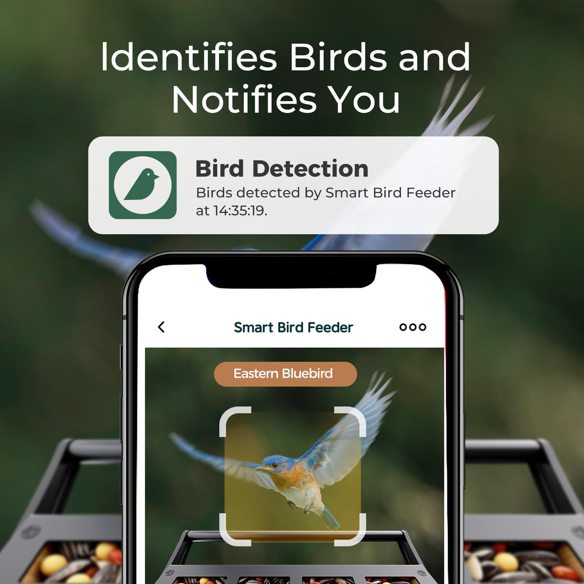 TT Nature Upgrade solar-powered feeder enables continuous bird watching.