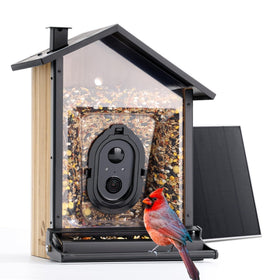 TT Nature Upgrade camera captures close-up 2K videos of visiting birds.