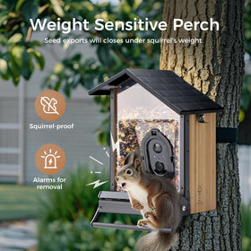 Weight-activated perch prevents access by larger birds and squirrels.