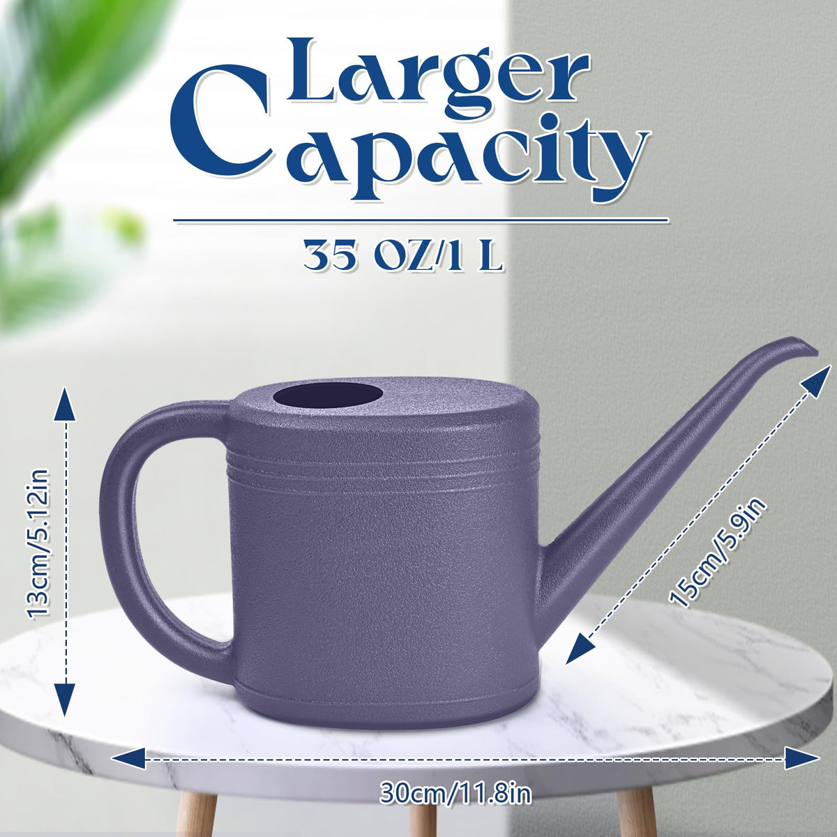 TTAOE GN compact 32oz watering can ideal for quick indoor plant care.