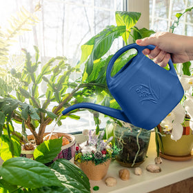 TTAOE GN watering can pictured in a garden setting for versatile plant care.