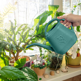 TTAOE GN Grip Watering Can indoors, ideal for windowsill plants